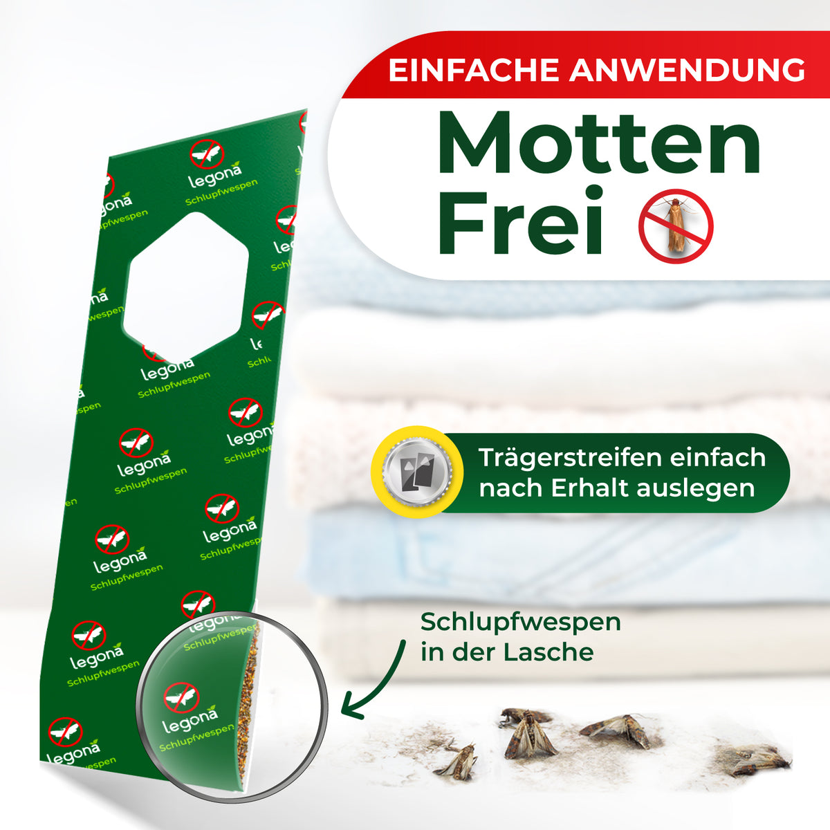 Schlupfwespen gegen Kleidermotten