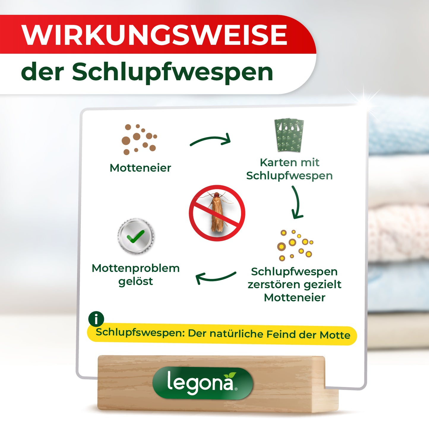 Wirkungsweise der Schlupfwespen: Zeigt Kreislauf von Motteneiern, Karten mit Schlupfwespen, gezielter Zerstörung der Eier und Lösung des Mottenproblems.