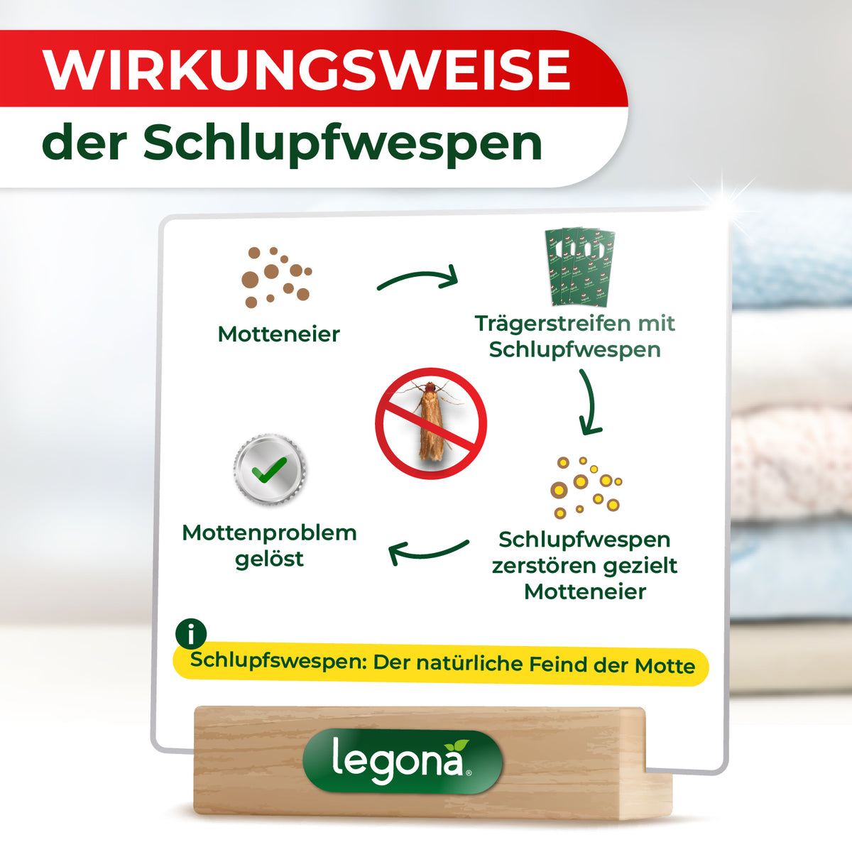 Infografik zur Wirkungsweise der Schlupfwespen mit Kreislauf der Bekämpfung: Motteneier, Trägerstreifen, Schlupfwespen zerstören Motteneier und gelöstes Mottenproblem