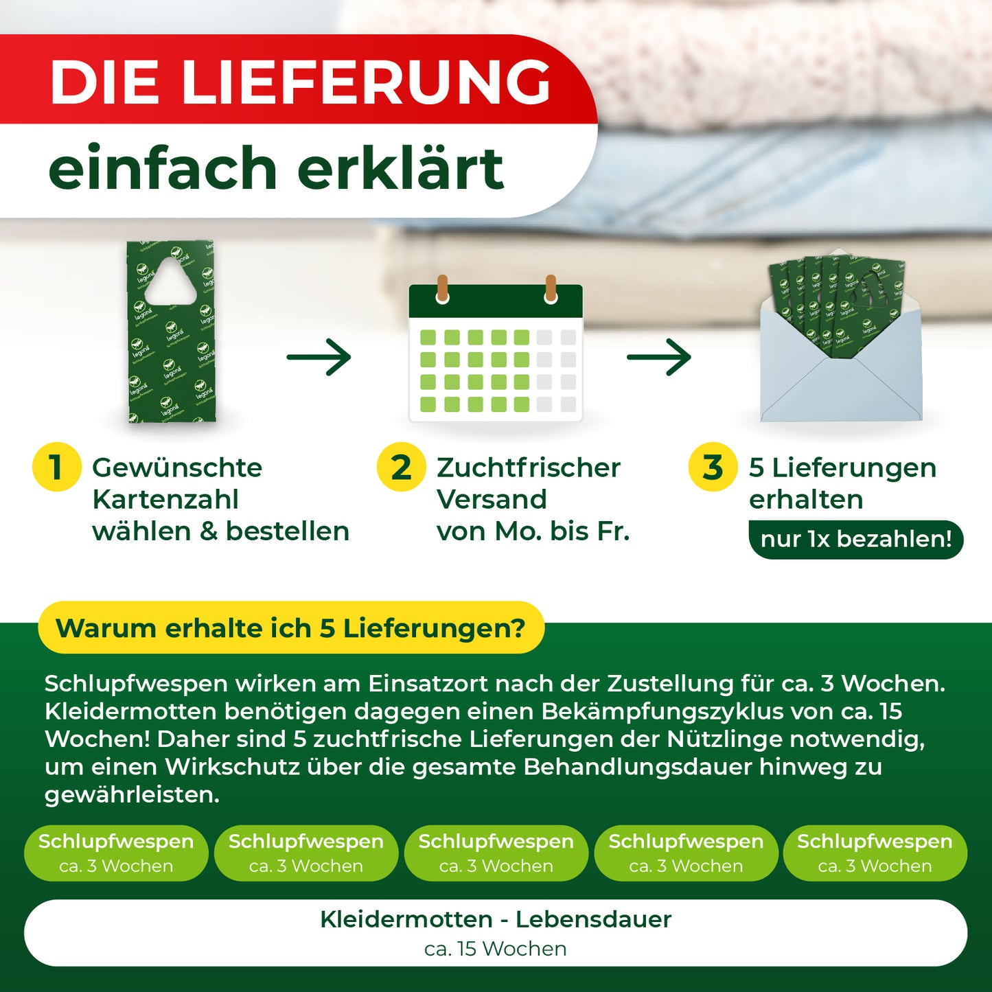 Die Lieferung von Legona Schlupfwespen in 3 Schritten: 1. Gewünschte Kartenzahl wählen und bestellen, 2. Versand von Montag bis Freitag, 3. 5 Lieferungen erhalten und nur einmal bezahlen.