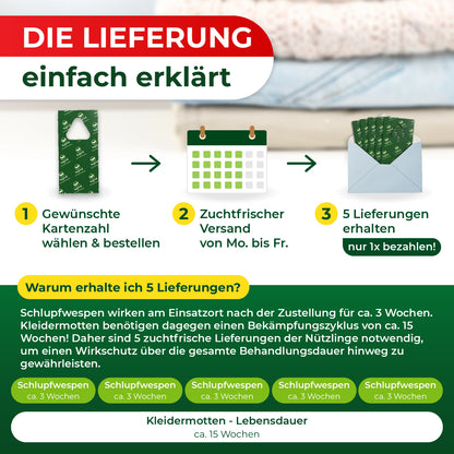 Schlupfwespen gegen Kleidermotten (5-fach Lieferung)
