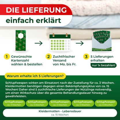 Schlupfwespen gegen Kleidermotten