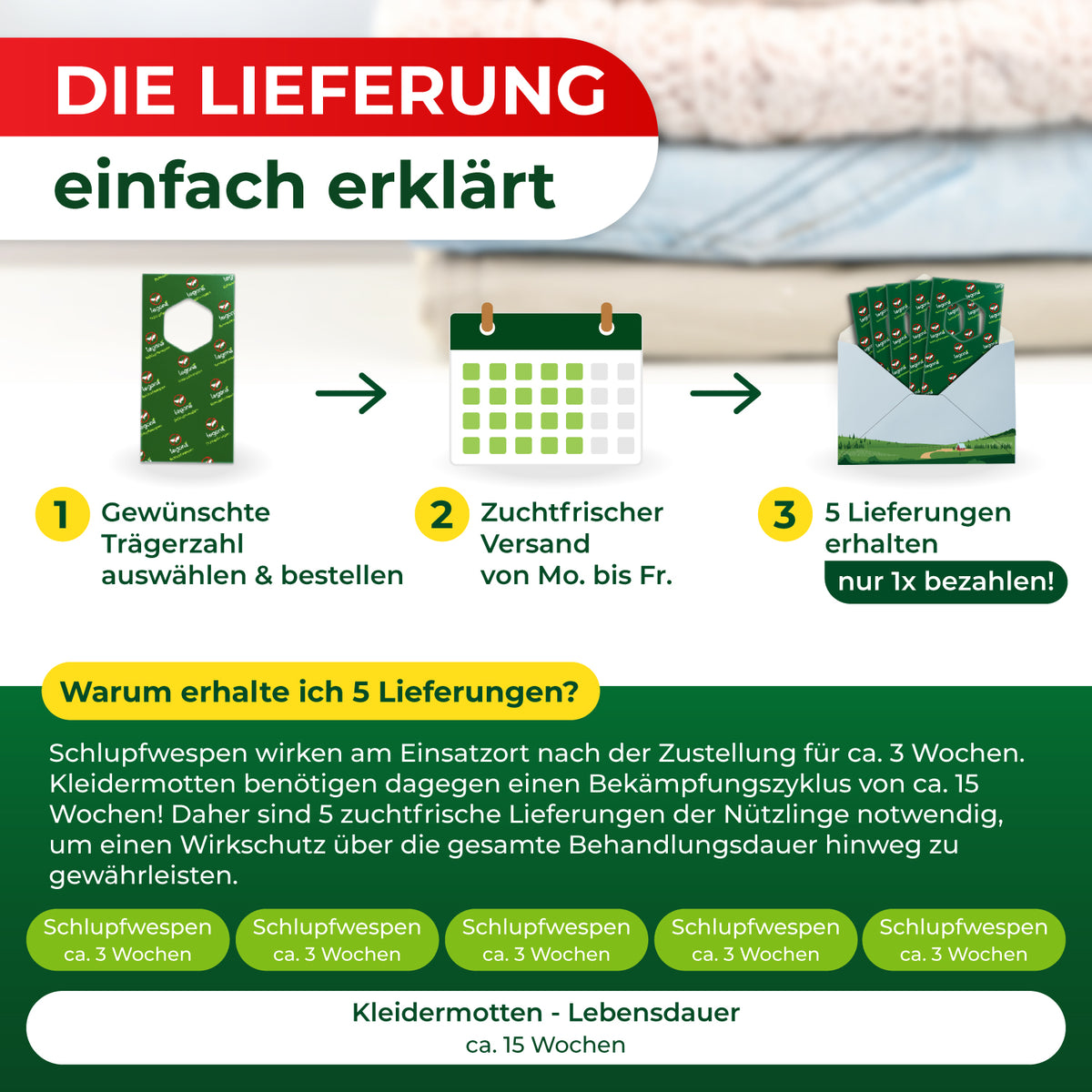 Schlupfwespen gegen Kleidermotten