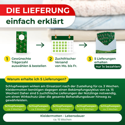 Schlupfwespen gegen Kleidermotten