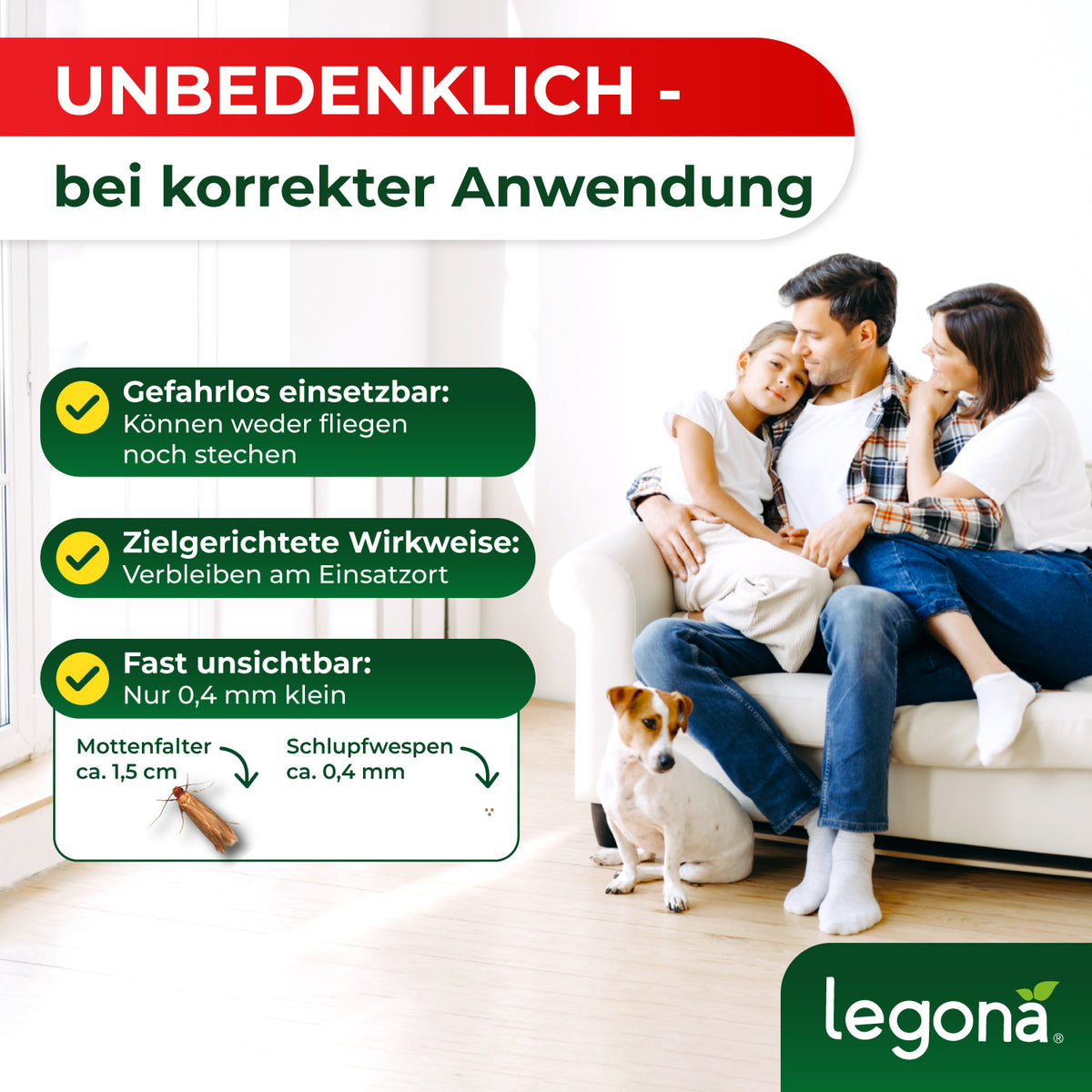 Schlupfwespen gegen Kleidermotten