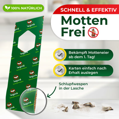 Schlupfwespen gegen Lebensmittelmotten