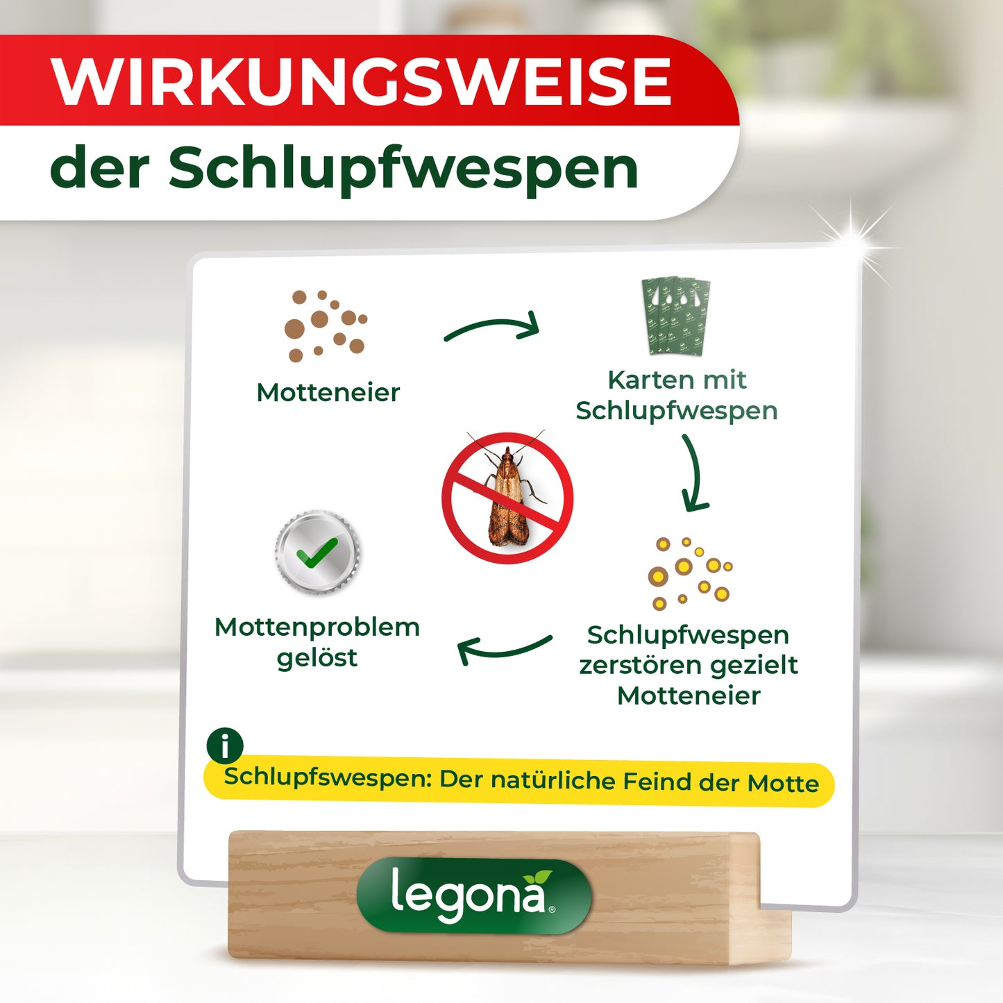 Wirkungsweise der Schlupfwespen von Legona: Schlupfwespen zerstören gezielt Motteneier, lösen so das Mottenproblem, dargestellt mit Pfeilen und Symbolen.