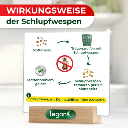 Infografik zur Wirkungsweise von Schlupfwespen zeigt Kreislauf von Motteneiern, Trägerstreifen mit Schlupfwespen, gezielter Zerstörung der Motteneier durch Schlupfwespen und gelöstes Mottenproblem mit Legona-Logo