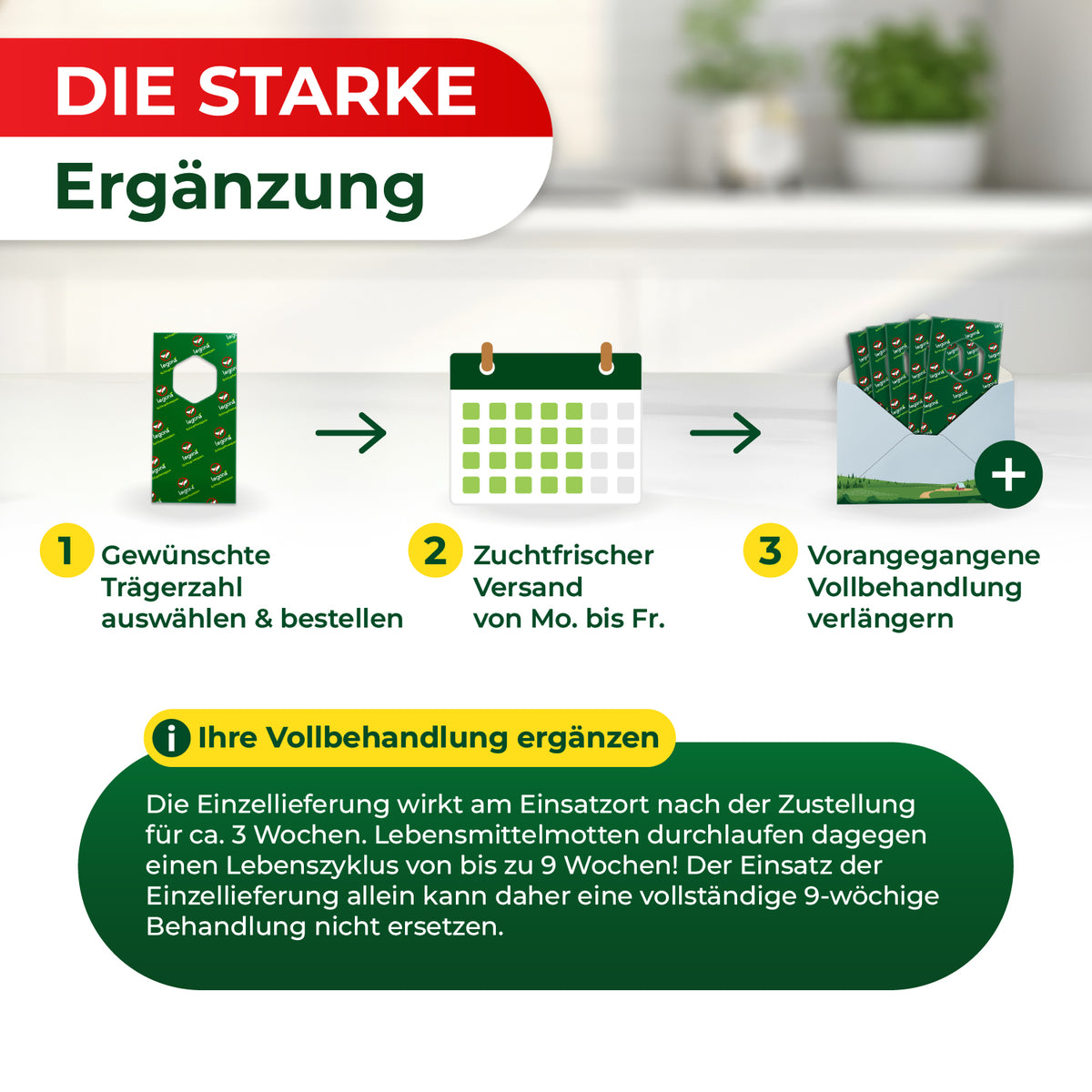 Grafik mit drei Schritten zur Ergänzung einer Behandlung: 1. Gewünschte Trägerzahl auswählen und bestellen, 2. Zuchtfrischer Versand von Montag bis Freitag, 3. Vorangegangene Vollbehandlung verlängern, darunter Text zur Erklärung der Einzellieferung und Behandlungsdauer
