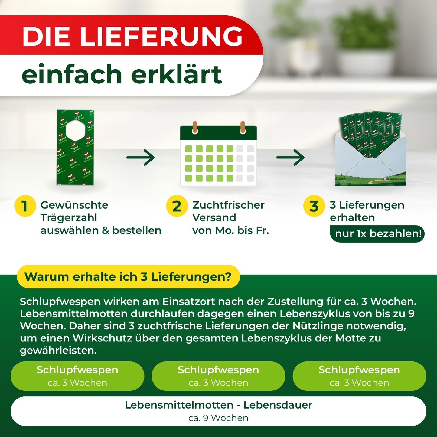 Schlupfwespen gegen Lebensmittelmotten