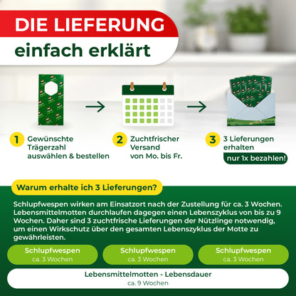 Schlupfwespen gegen Lebensmittelmotten