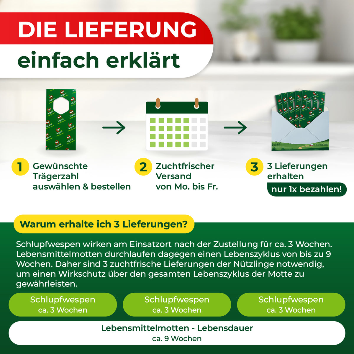 Grafik mit drei Schritten zur Lieferung: 1. Gewünschte Trägerzahl auswählen und bestellen, 2. Zuchtfrischer Versand von Mo. bis Fr., 3. Drei Lieferungen erhalten, nur einmal bezahlen, darunter Erklärung zur Wirkung von Schlupfwespen über drei Wochen und Lebenszyklus von Lebensmittelmotten von etwa neun Wochen