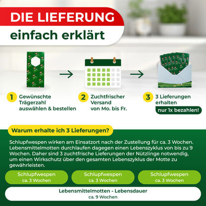 Grafik mit drei Schritten zur Lieferung: 1. Gewünschte Trägerzahl auswählen und bestellen, 2. Zuchtfrischer Versand von Mo. bis Fr., 3. Drei Lieferungen erhalten, nur einmal bezahlen, darunter Erklärung zur Wirkung von Schlupfwespen über drei Wochen und Lebenszyklus von Lebensmittelmotten von etwa neun Wochen