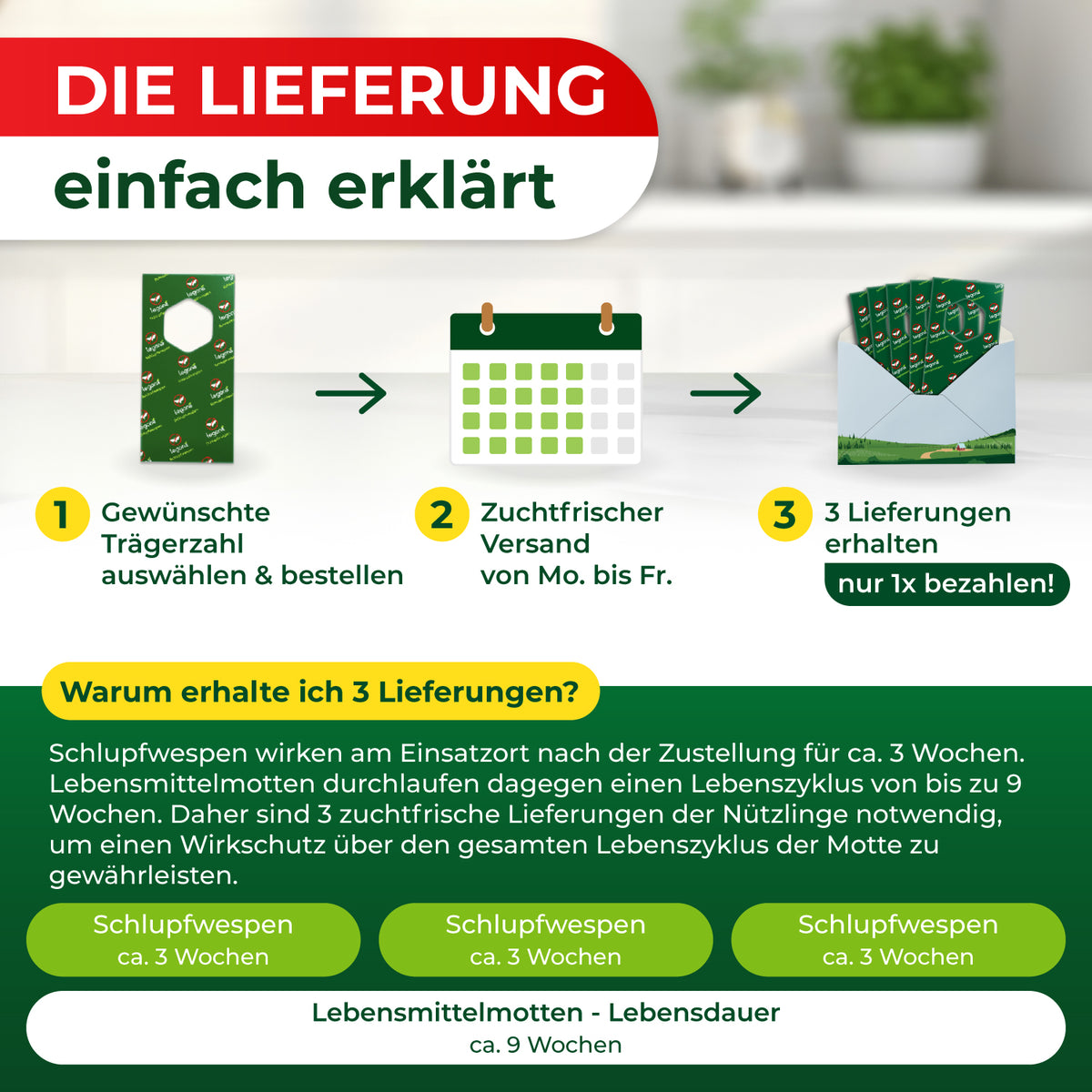 Schlupfwespen gegen Lebensmittelmotten