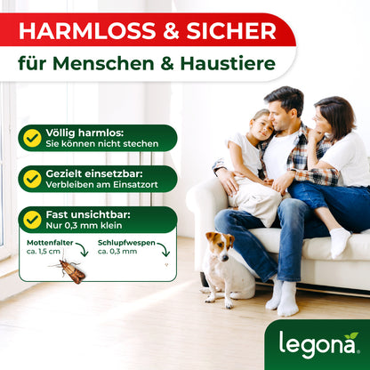Schlupfwespen gegen Lebensmittelmotten