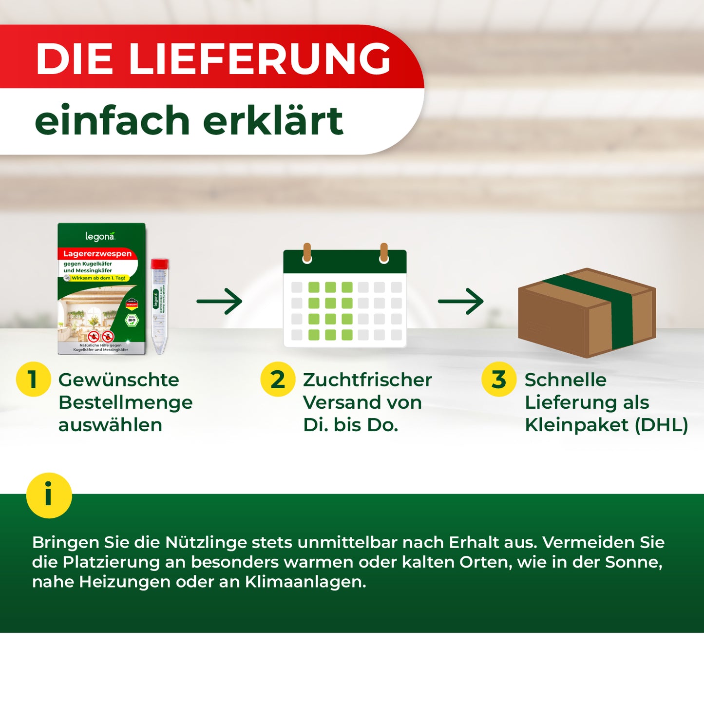 Lagererzwespen gegen Kugelkäfer & Messingkäfer