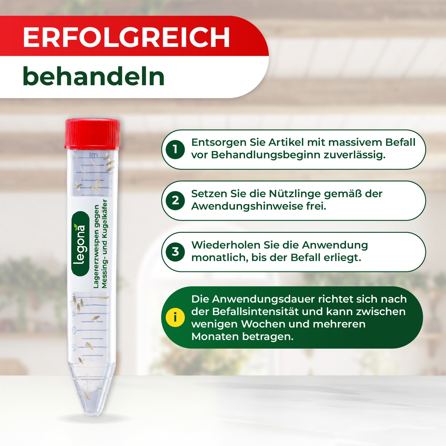 Lagererzwespen gegen Kugelkäfer & Messingkäfer