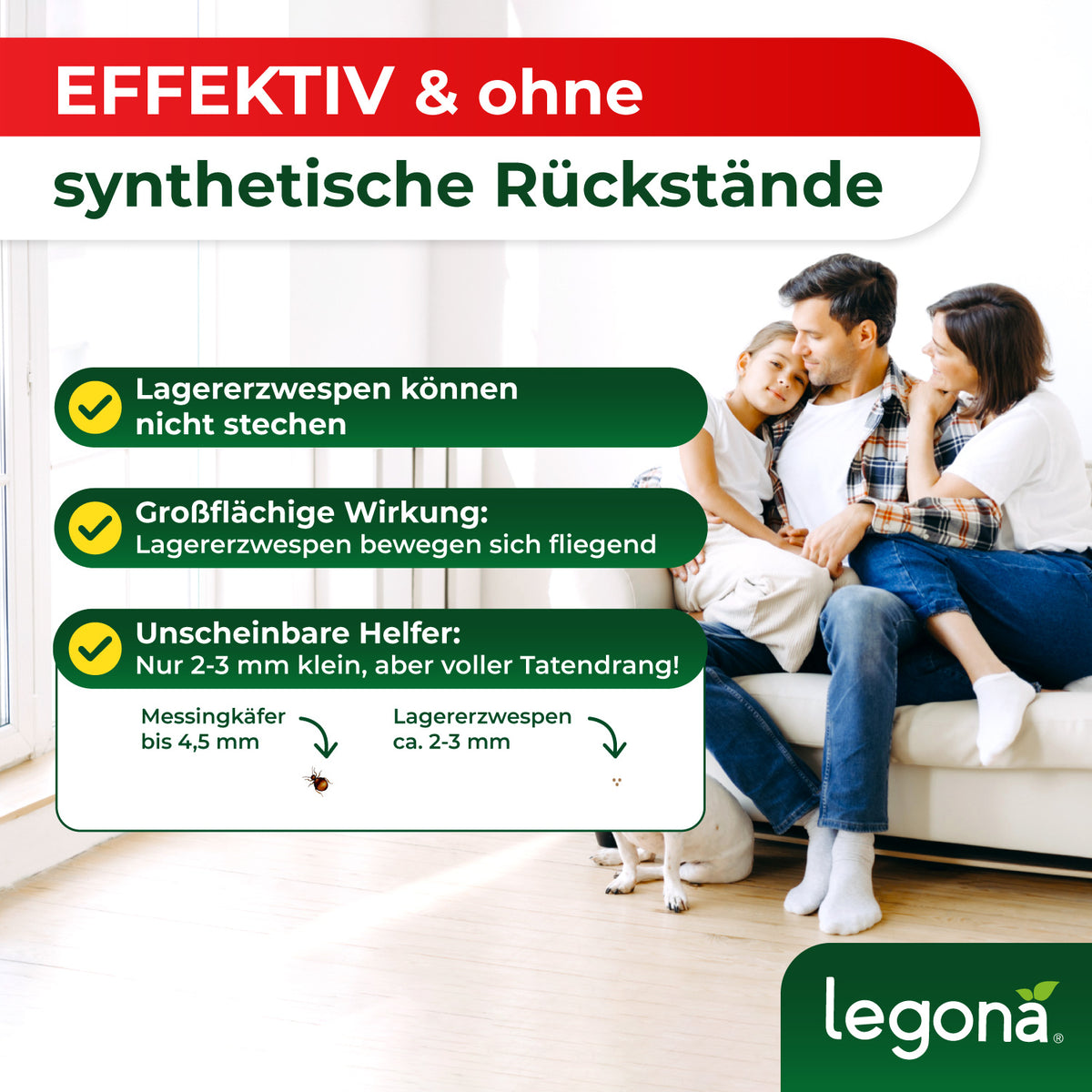 Lagererzwespen gegen Kugelkäfer & Messingkäfer