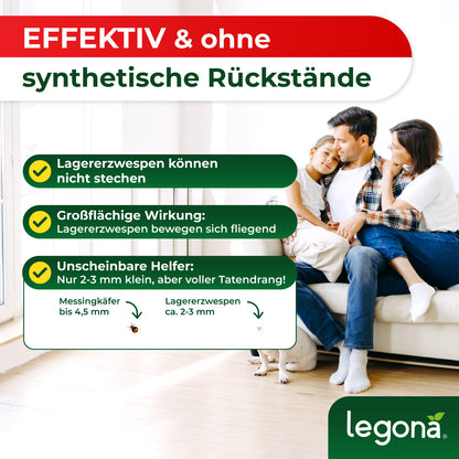 Lagererzwespen gegen Kugelkäfer & Messingkäfer