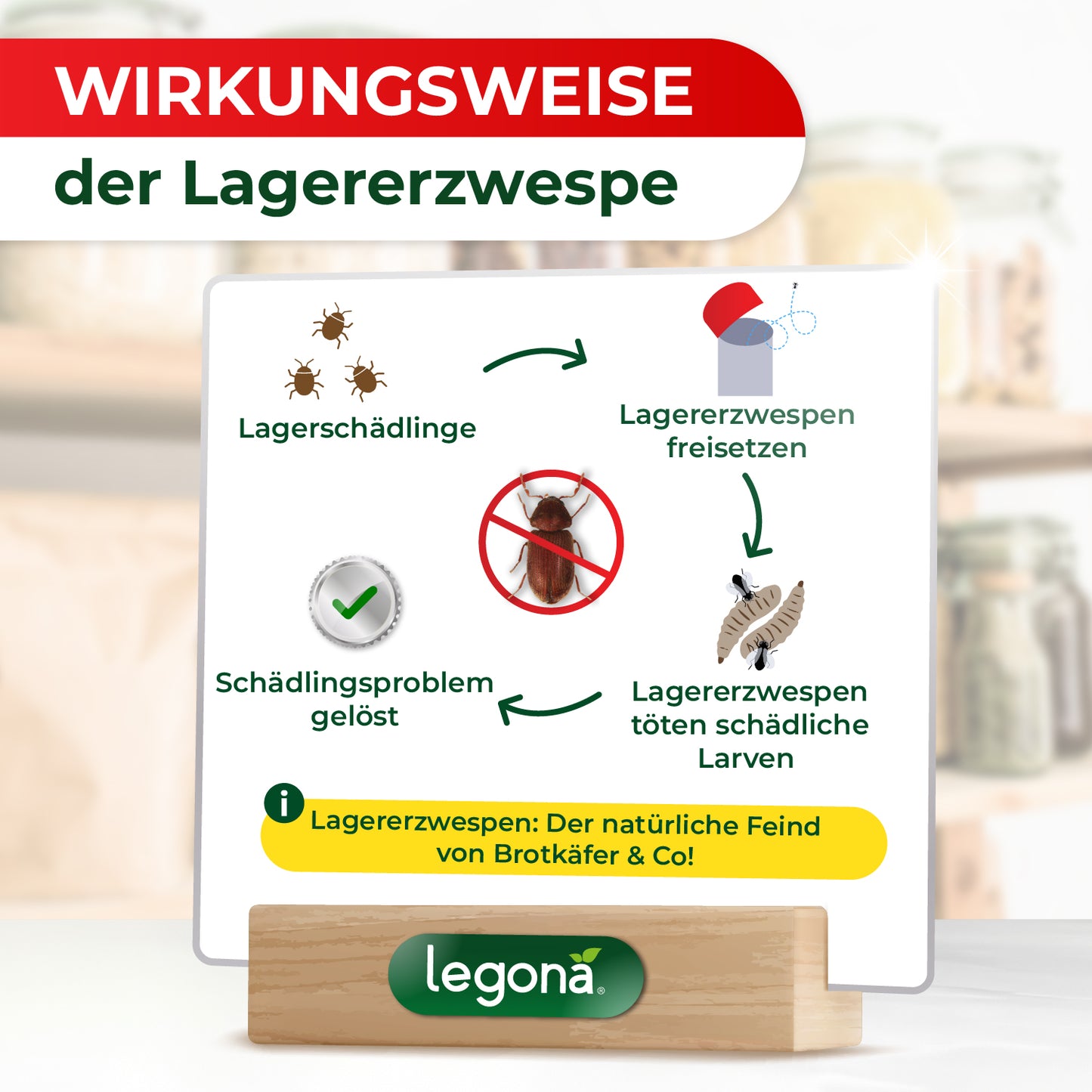 Lagererzwespen gegen Brotkäfer, Reiskäfer & Tabakkäfer