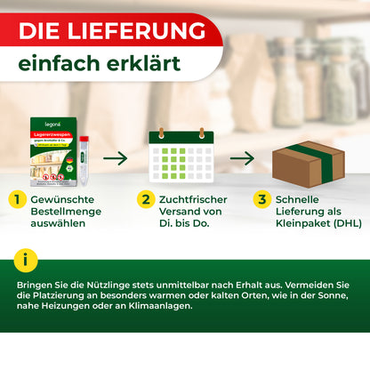 Lagererzwespen gegen Brotkäfer, Reiskäfer & Tabakkäfer
