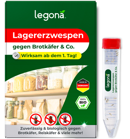 Lagererzwespen gegen Brotkäfer, Reiskäfer & Tabakkäfer