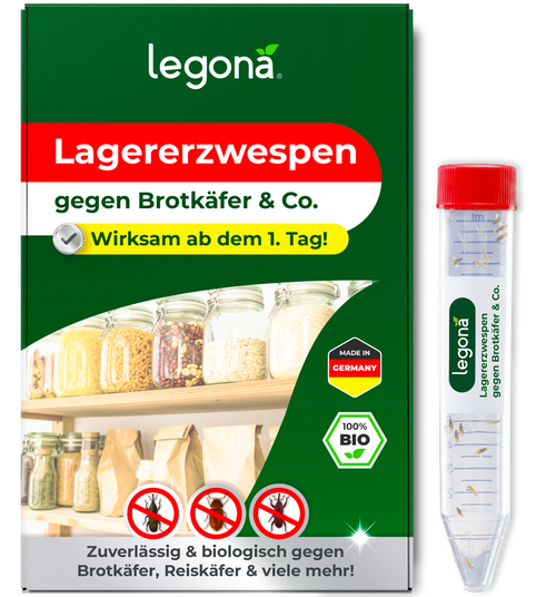 Lagererzwespen gegen Brotkäfer, Reiskäfer & Tabakkäfer