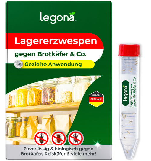 Lagererzwespen gegen Brotkäfer, Reiskäfer & Tabakkäfer