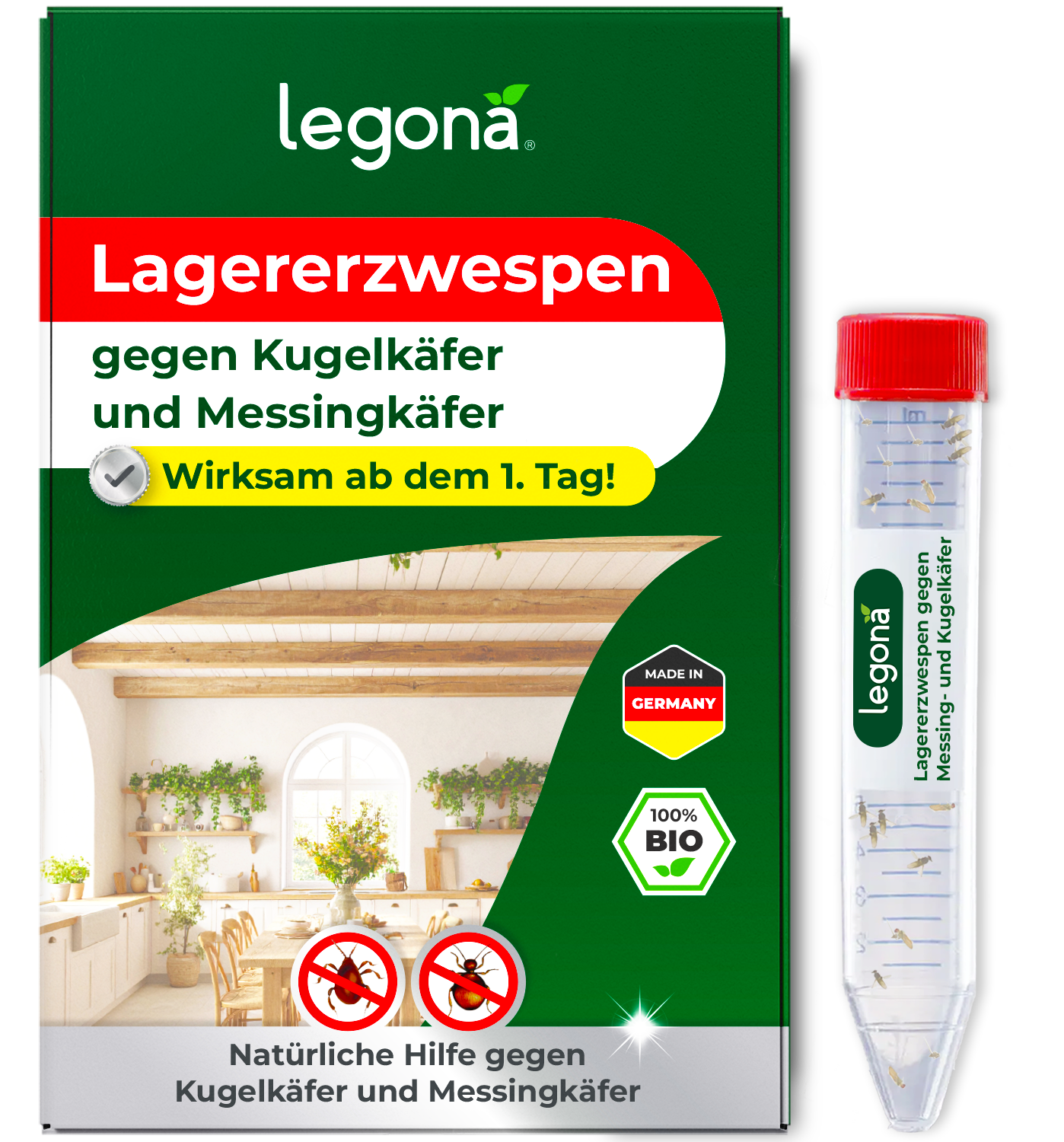 Lagererzwespen gegen Kugelkäfer & Messingkäfer