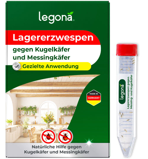 Lagererzwespen gegen Kugelkäfer & Messingkäfer