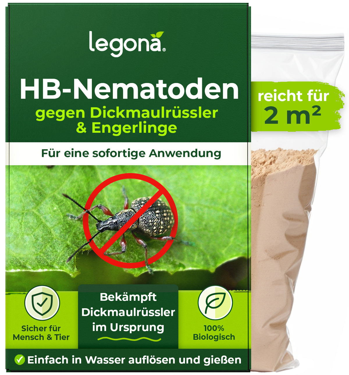 Wenn Engerlinge Schaden anrichten - Legona-DE