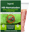 HB-Nematoden gegen Dickmaulrüssler und Engerlinge