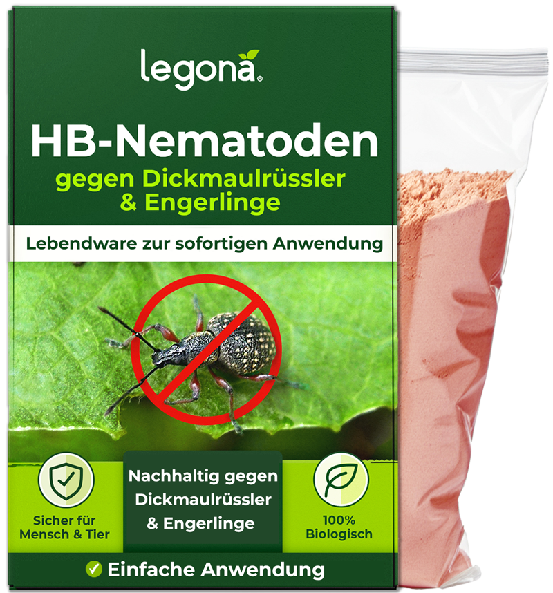 HB-Nematoden gegen Dickmaulrüssler und Engerlinge