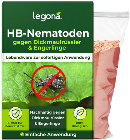 HB-Nematoden gegen Dickmaulrüssler und Engerlinge