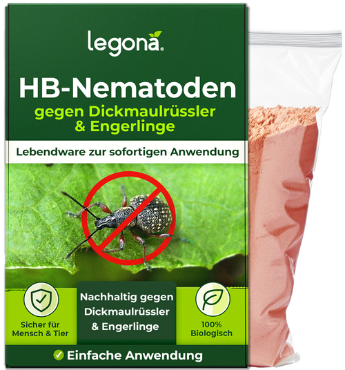 HB-Nematoden gegen Dickmaulrüssler und Engerlinge