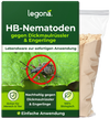HB-Nematoden gegen Dickmaulrüssler und Engerlinge