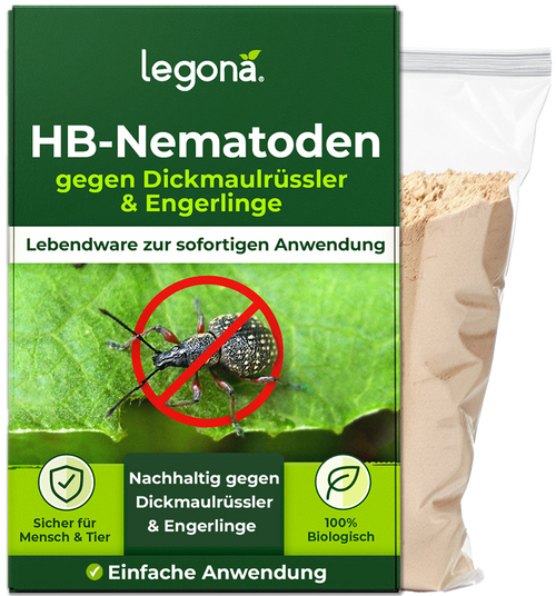 HB-Nematoden gegen Dickmaulrüssler und Engerlinge