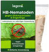 HB-Nematoden gegen Dickmaulrüssler und Engerlinge