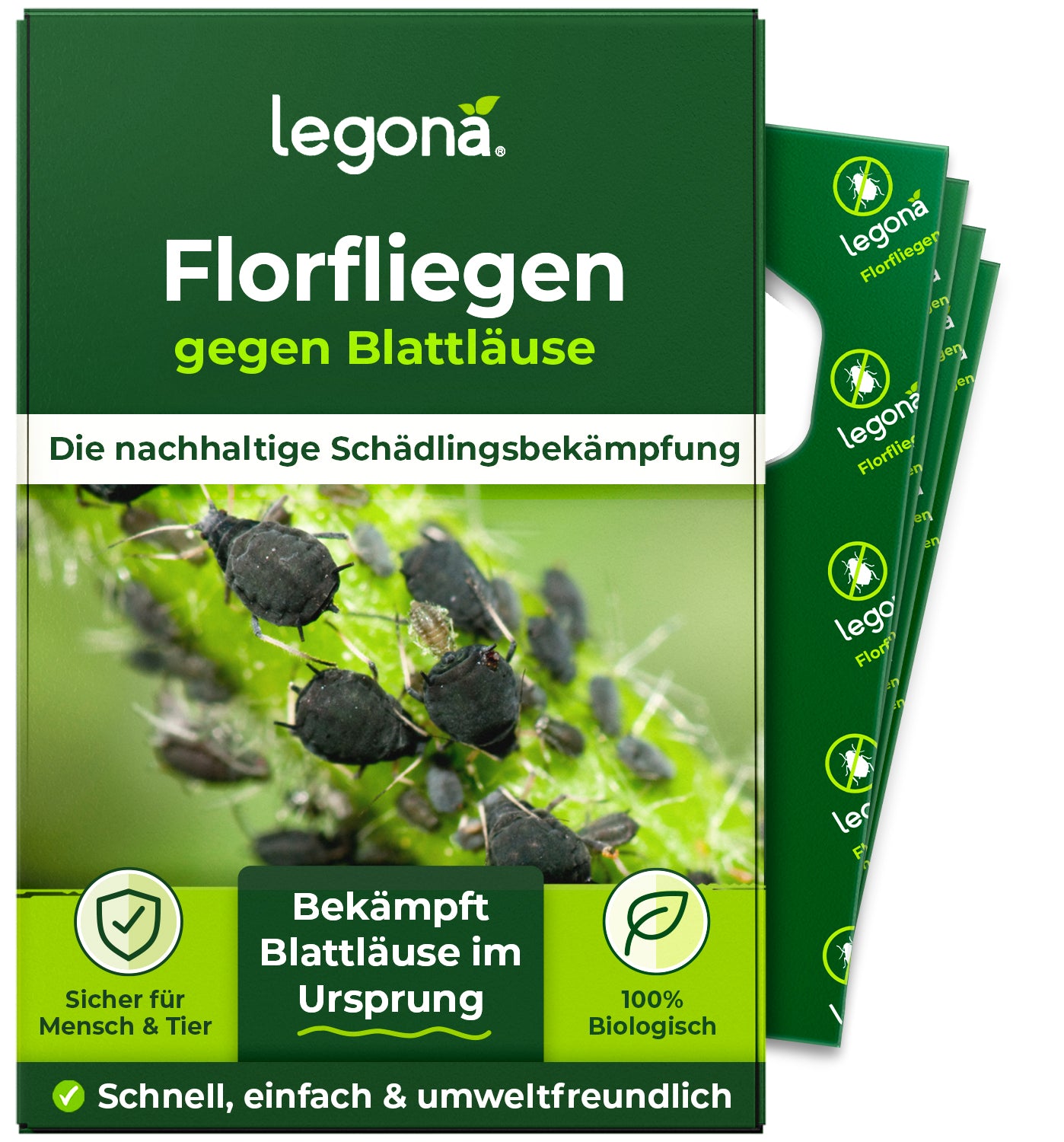 Florfliegenlarven gegen Blattläuse und Thripse.