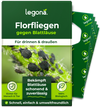 Florfliegenlarven gegen Blattläuse und Thripse