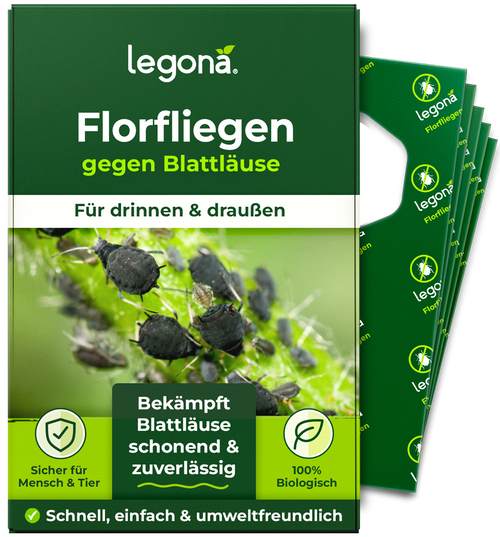 Florfliegenlarven gegen Blattläuse und Thripse