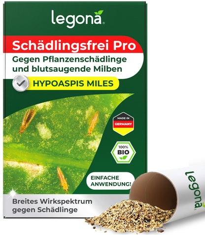 Raubmilben Hypoaspis miles gegen Thripse, Trauermücken  und die rote Vogelmilbe.