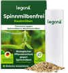 Raubmilben gegen Spinnmilben