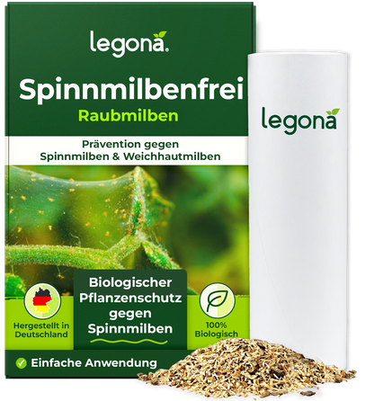 Raubmilben gegen Spinnmilben