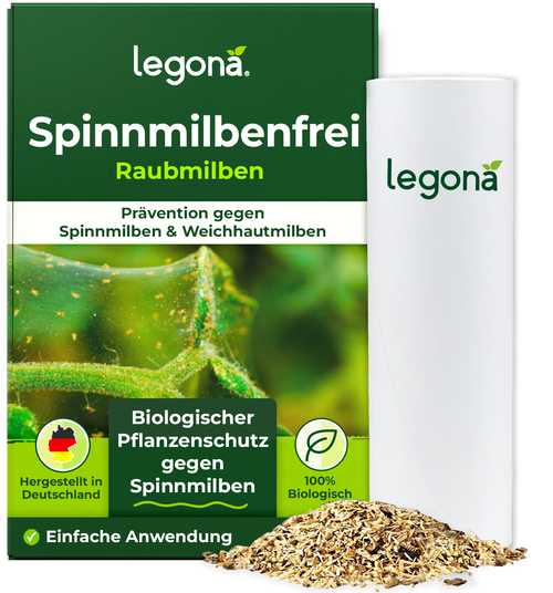 Raubmilben gegen Spinnmilben