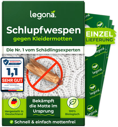Schlupfwespen gegen Kleidermotten