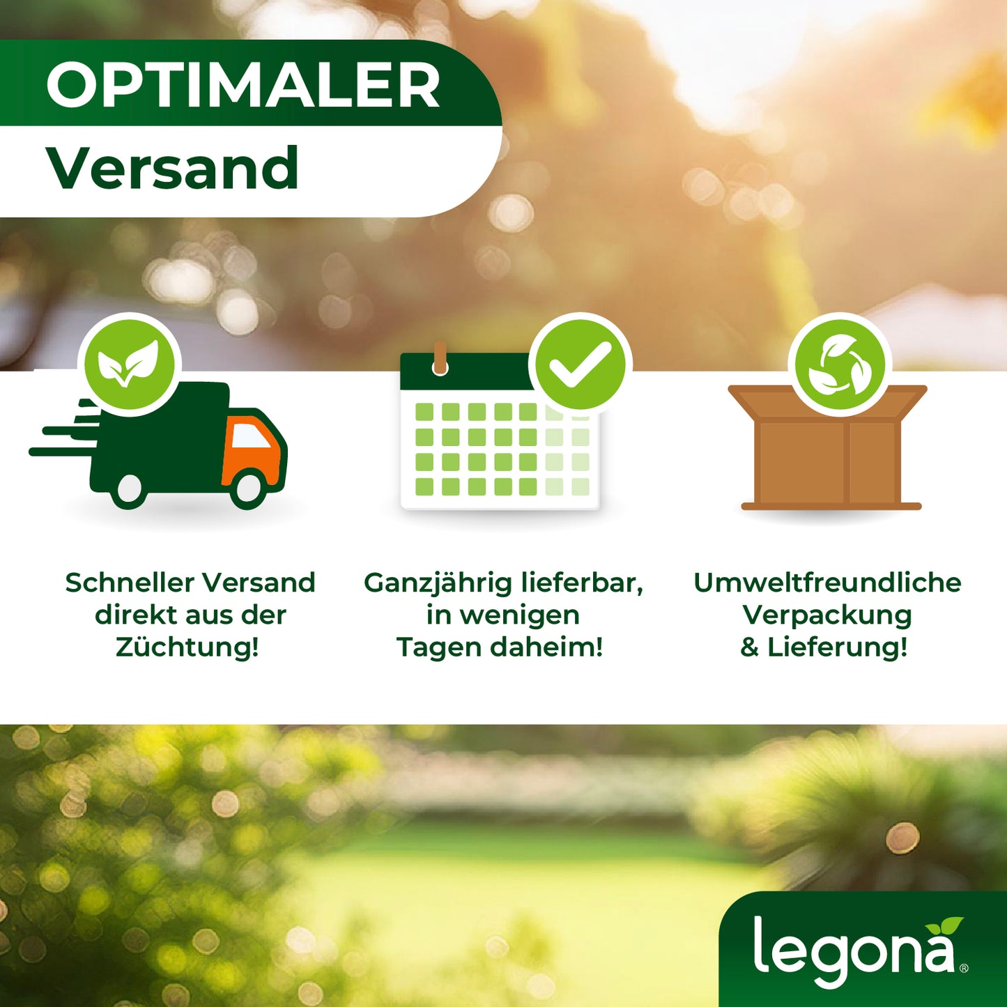 Marienkäferlarven gegen Blattläuse.