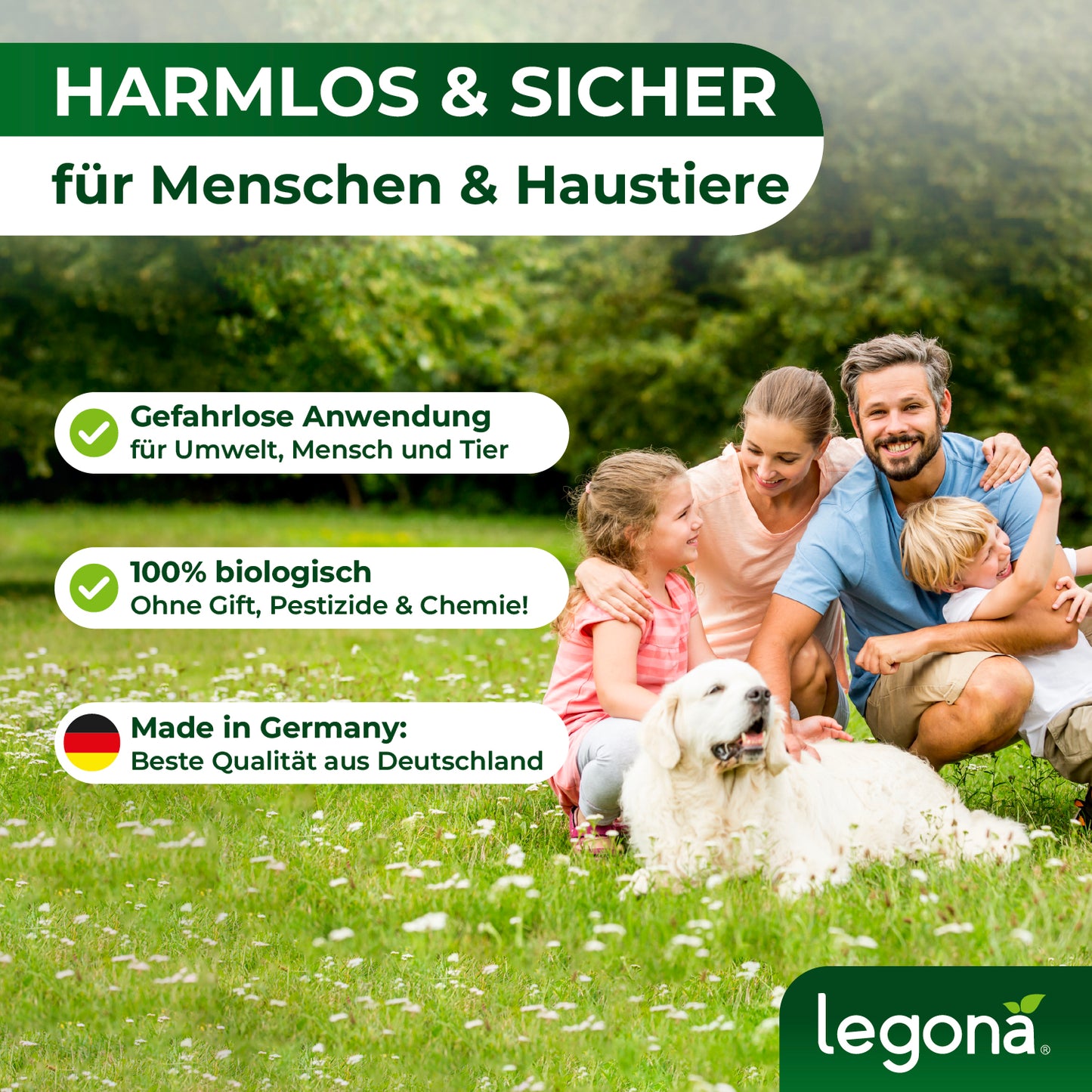 Marienkäferlarven gegen Blattläuse.