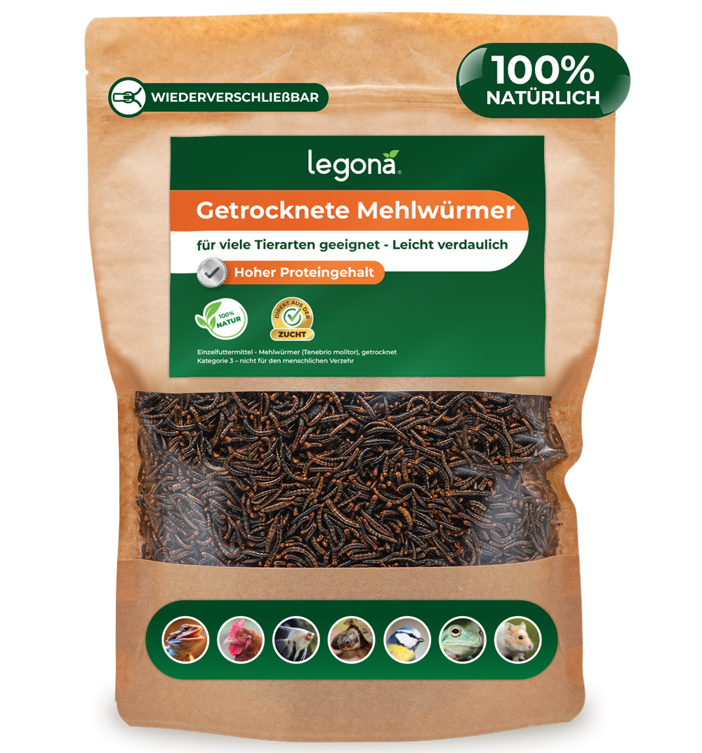 Getrocknete Mehlwürmer