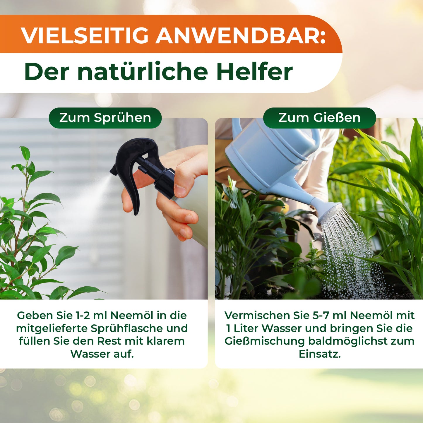 Zwei Anwendungsmöglichkeiten für Legona Neemöl: Zum Sprühen mit Sprühflasche und zum Gießen mit Gießkanne, jeweils mit Anleitung zur Dosierung.